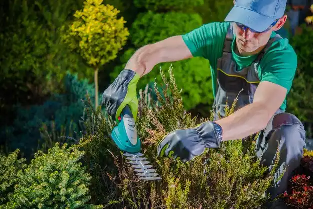 landscaping services Lyons Falls